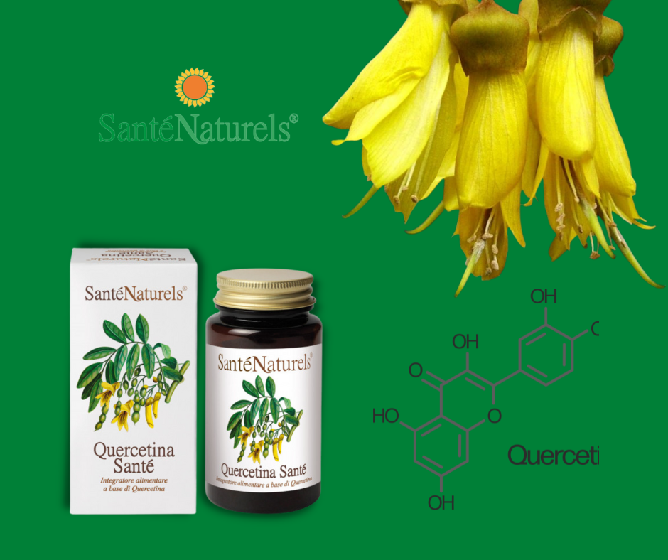 Quercetina Santé 90 Cápsulas Vegetales Antioxidante Antiinflamatorio